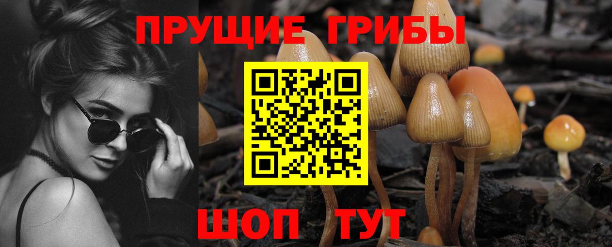 Галлюциногенные грибы Cubensis  Вход с VPN  Владикавказ 